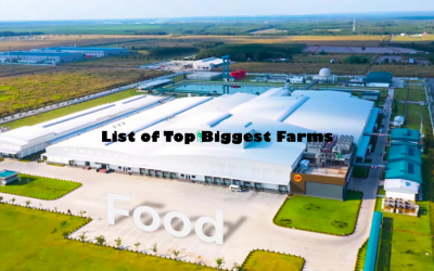 List of Top Biggest Farms in the World | Biggest Farm Ever